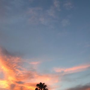 Meet your Posher, Miranda